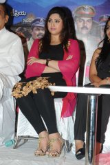 Drushyam Success Meet